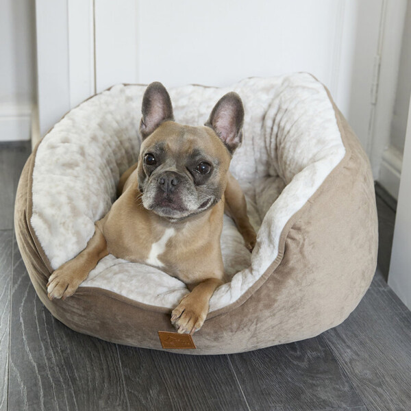 Dog butterfly bed Thumbnail